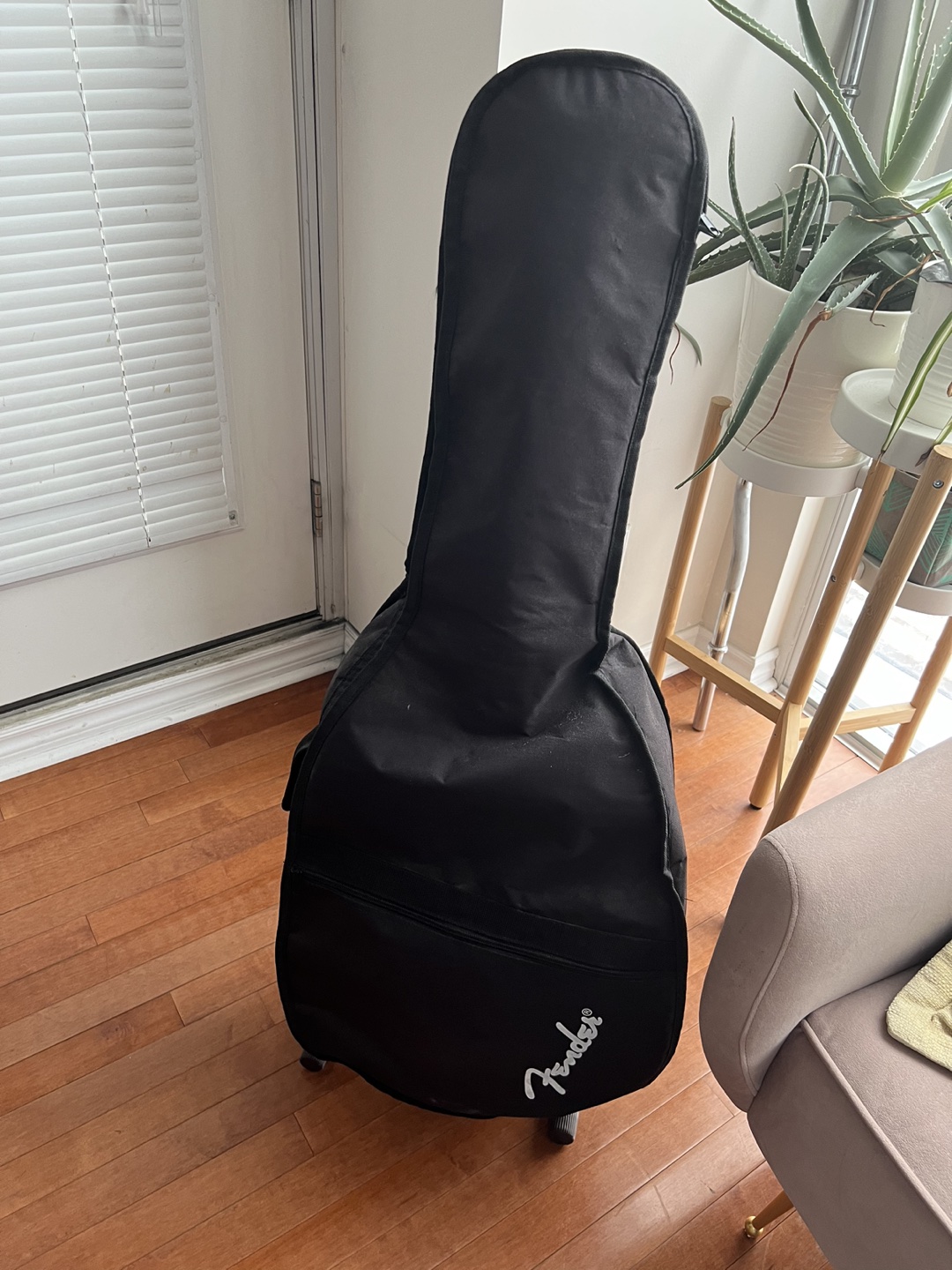 Fender acoustic guitar with accessories - photo 2