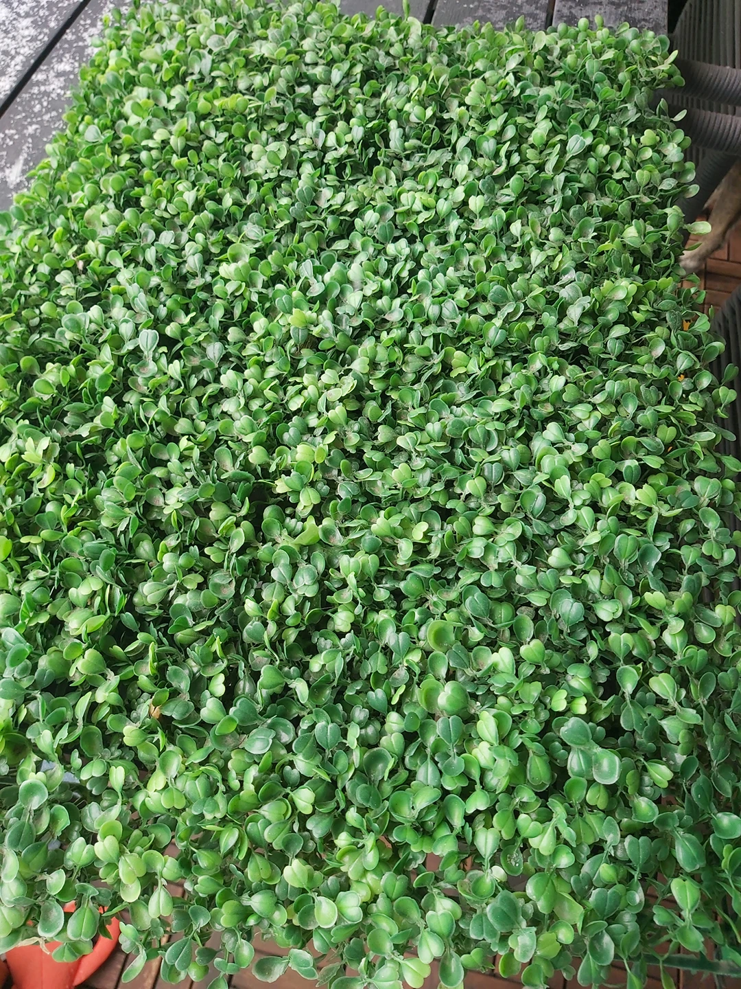 artificial grass
