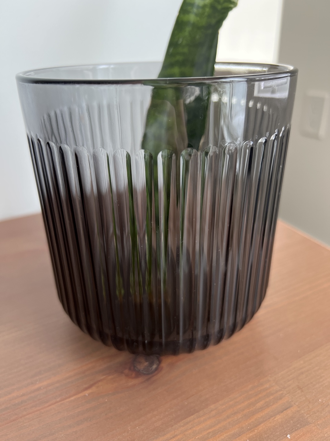 Plant pot