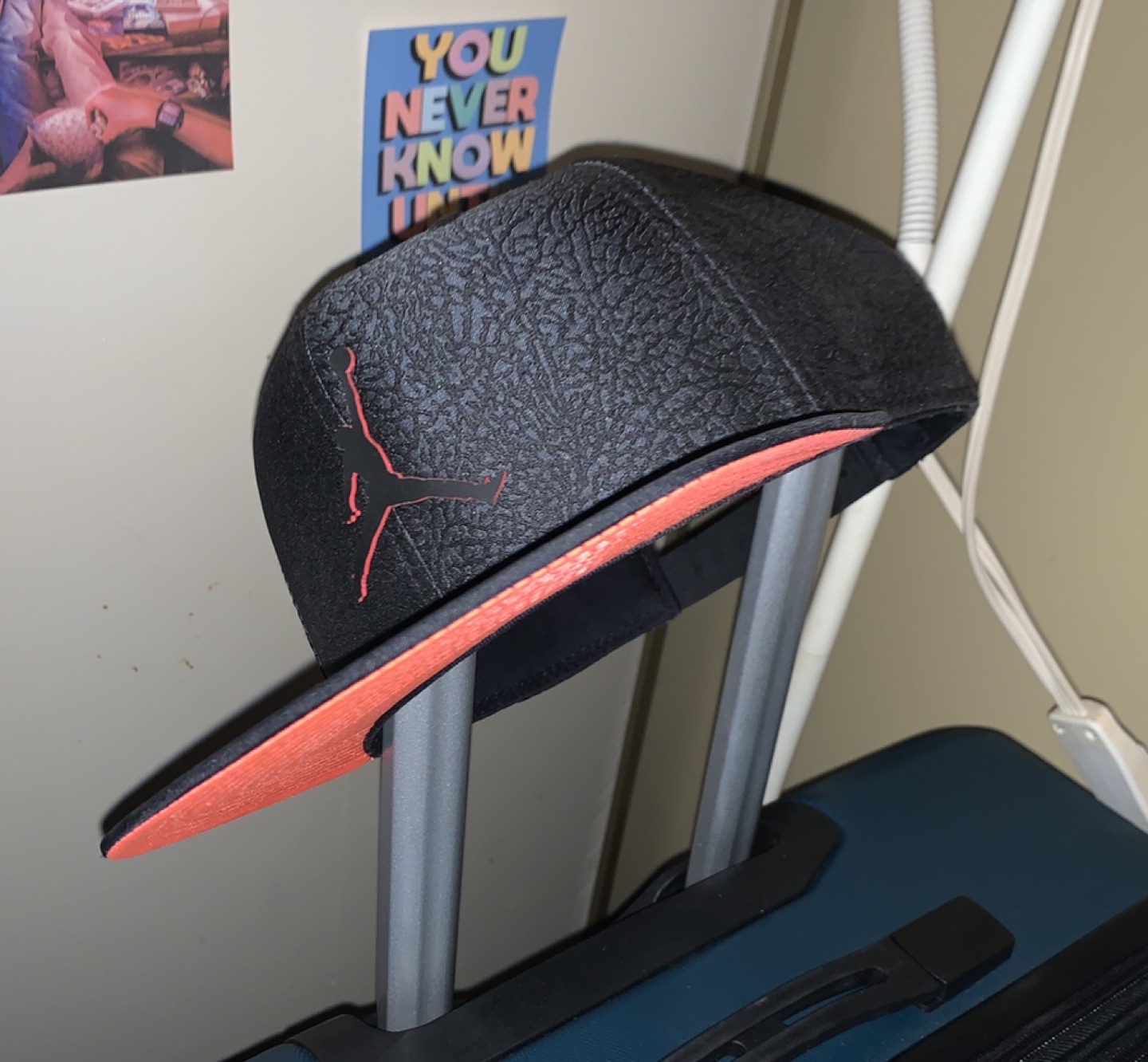 #FREECYCLE #JORDANAIRSNAPBACK