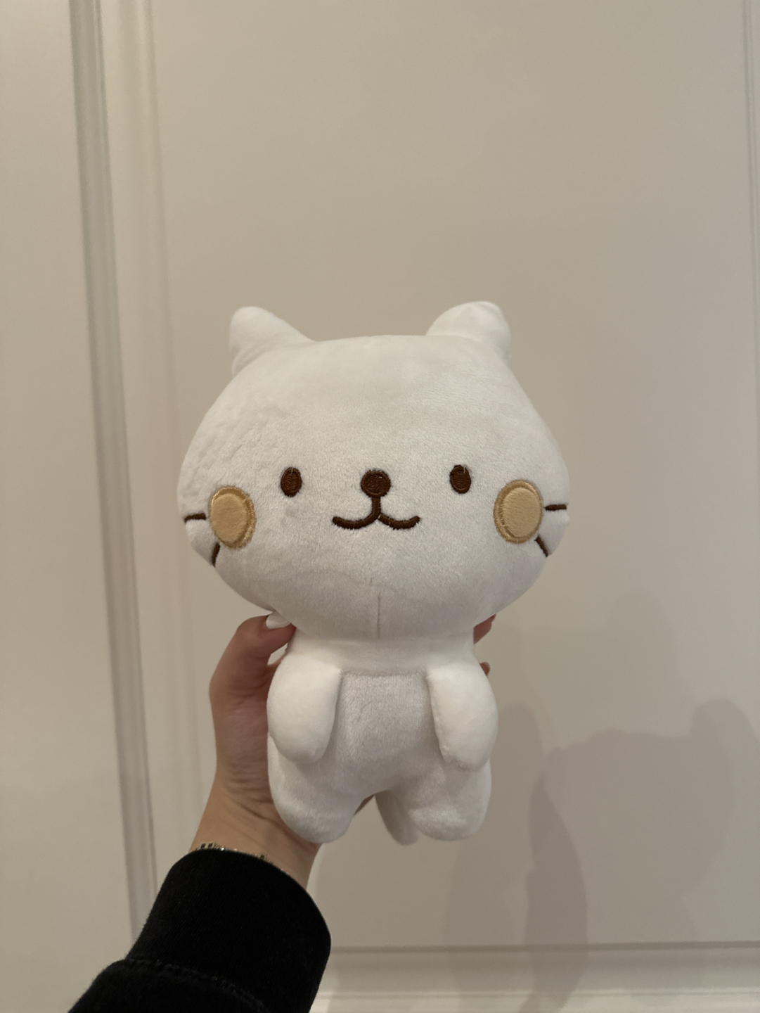 New condition cute cat plushie