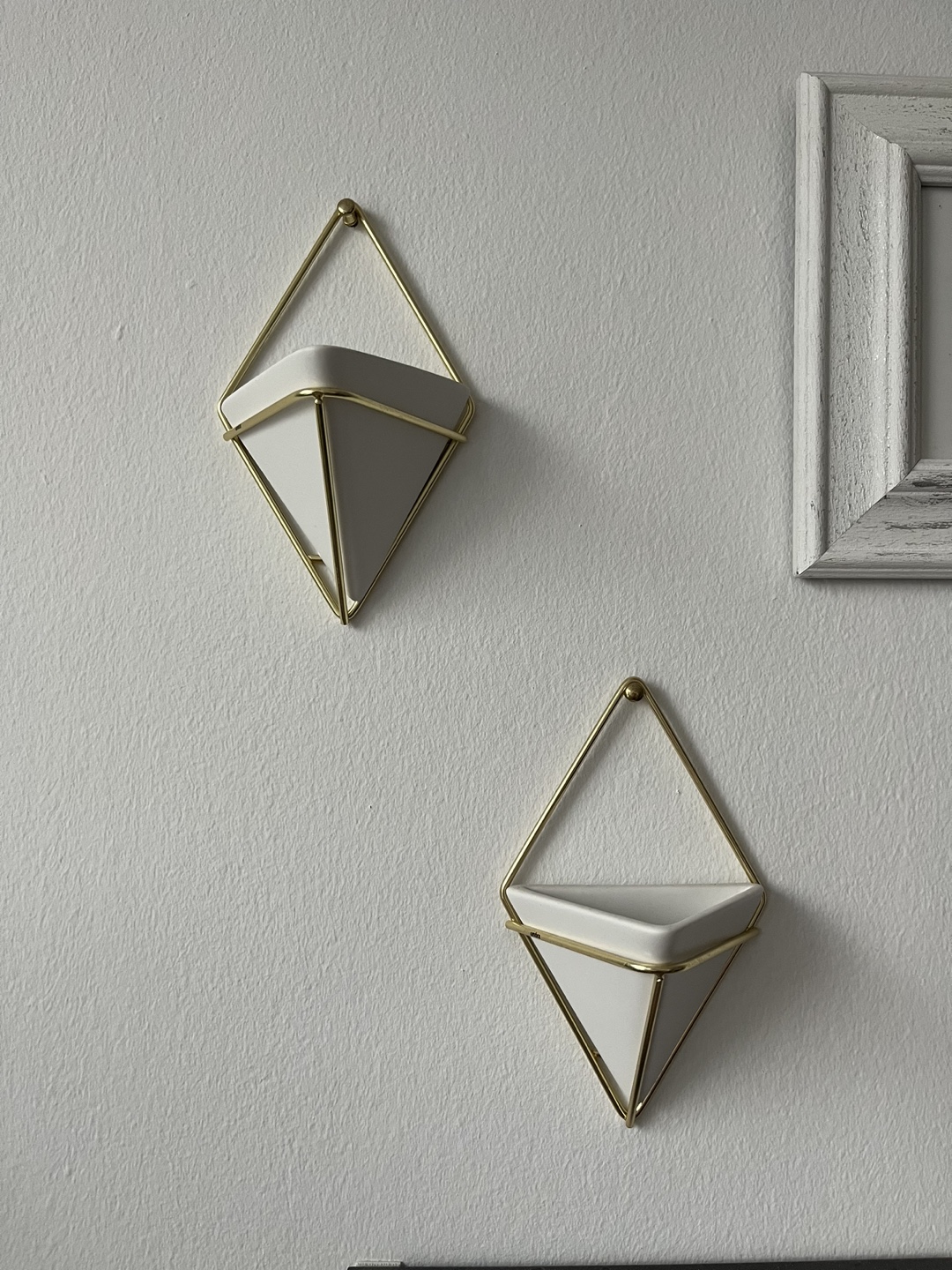 Geometric Plant Holders