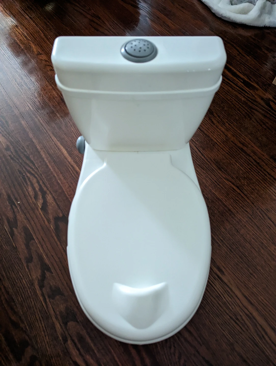 Potty training toilet - makes flushing noise & chart thumbnail
