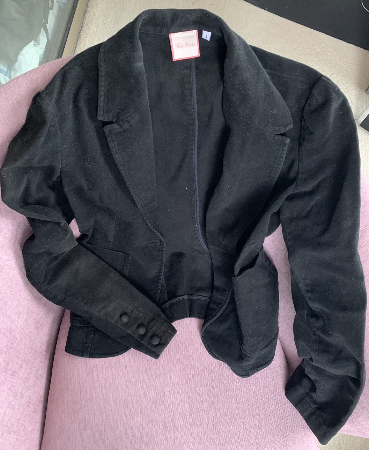 Talula. Babaton velvet vintage blazer thumbnail