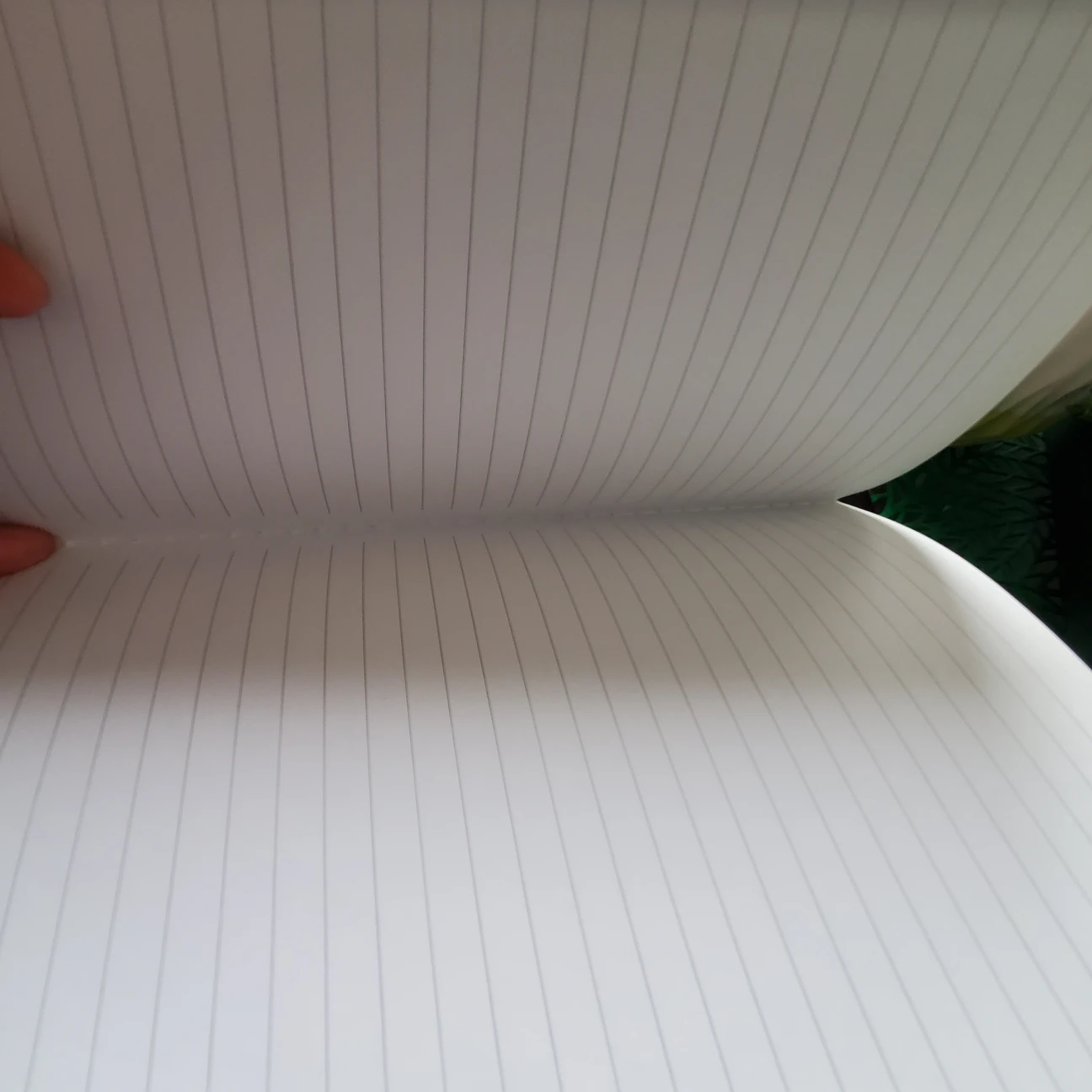 New Lined Notebook - photo 3