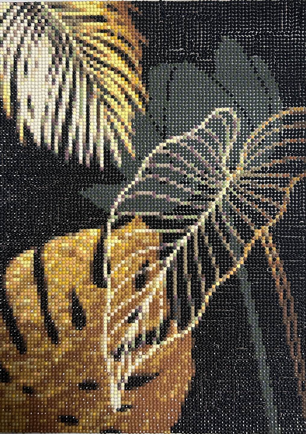 Finished diamond painting thumbnail