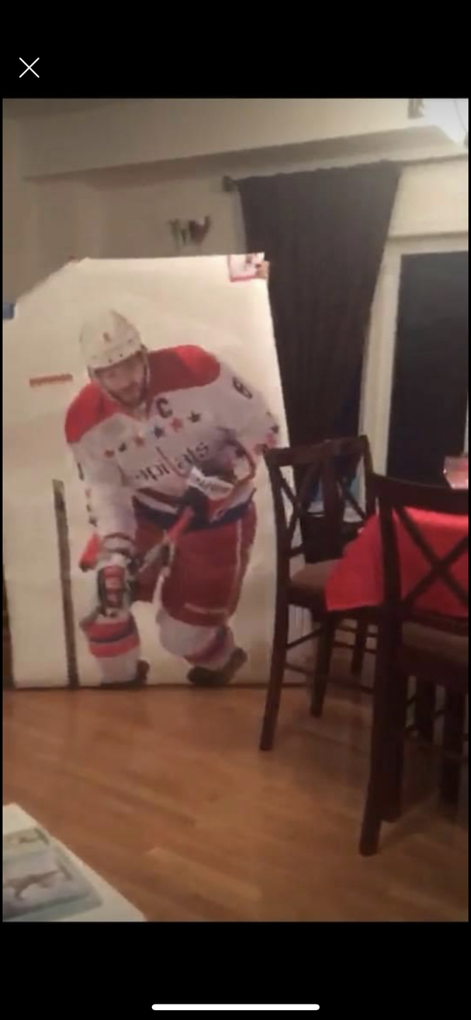 Ovechkin fat head - photo 2