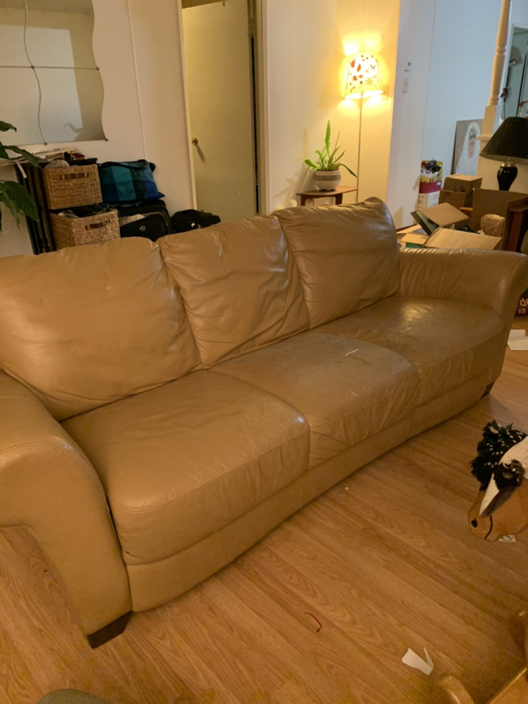 Free #freecycle - photo 5