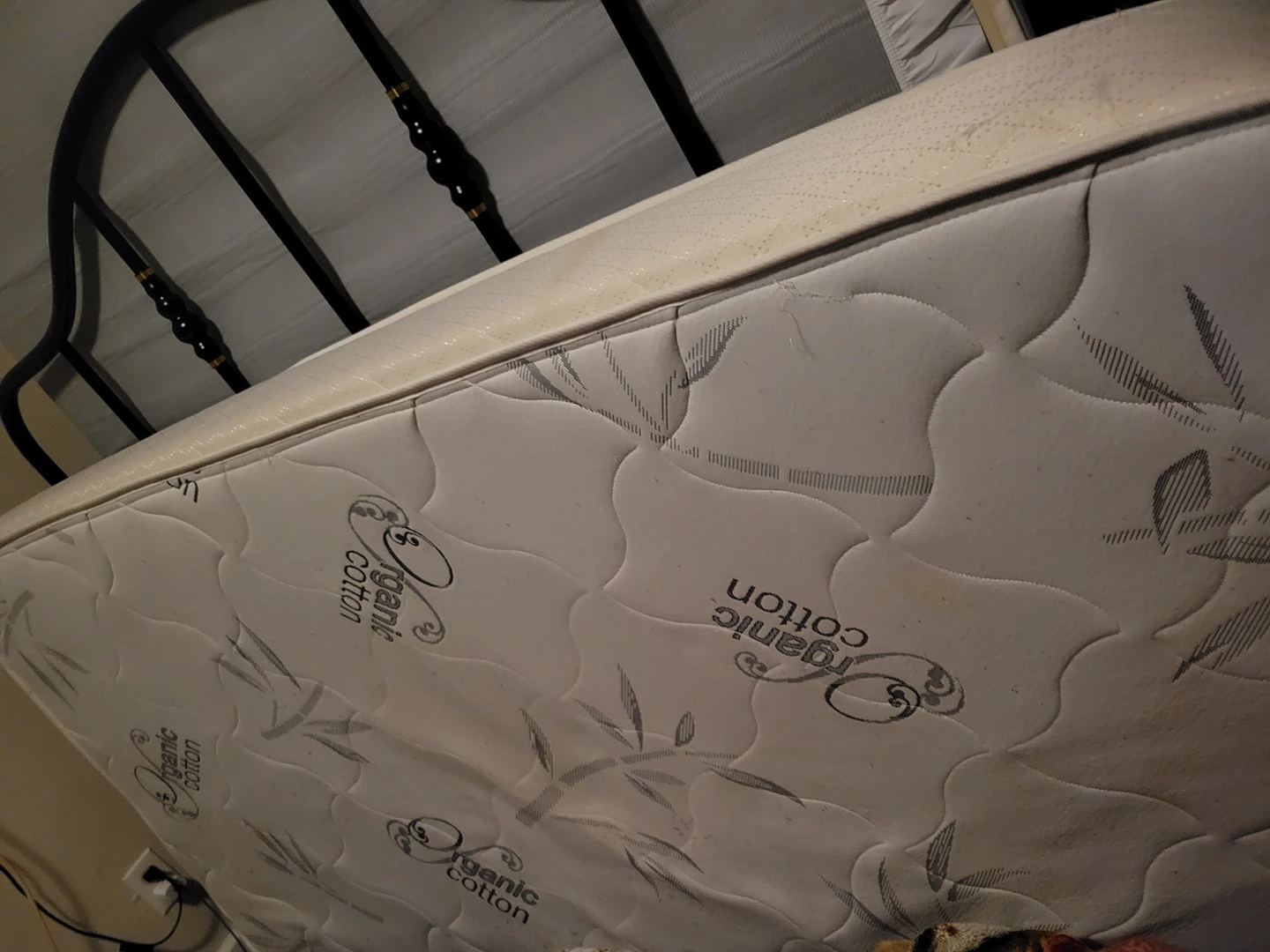 Double size Mattress #free #freecycle
