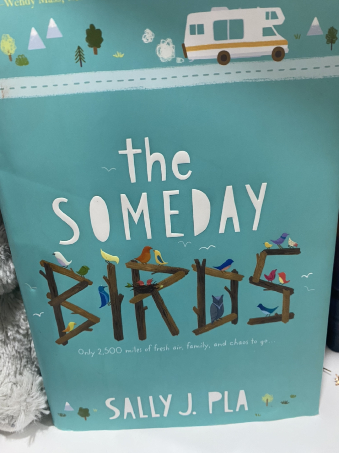 #freecycle  The Someday Birds book
