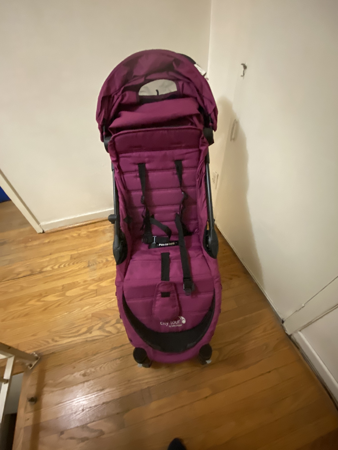 City tour -baby jogger stroller - photo 3
