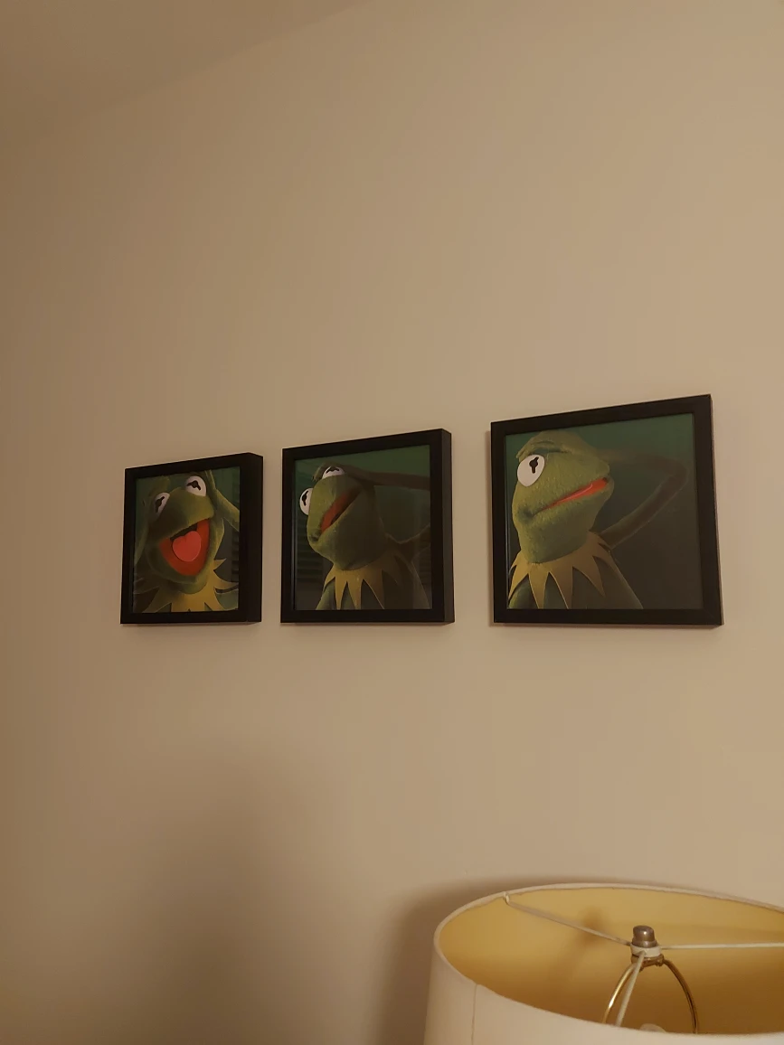 3 wooden square frames, currently showing Kermit thumbnail