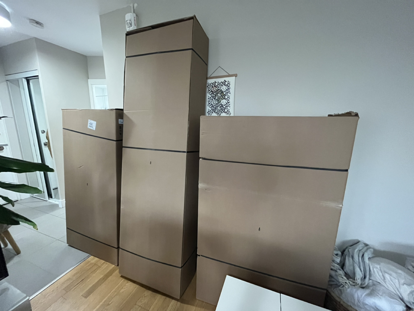 Brand new sofa bed