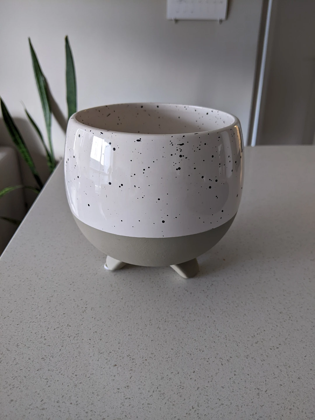Plant pot thumbnail