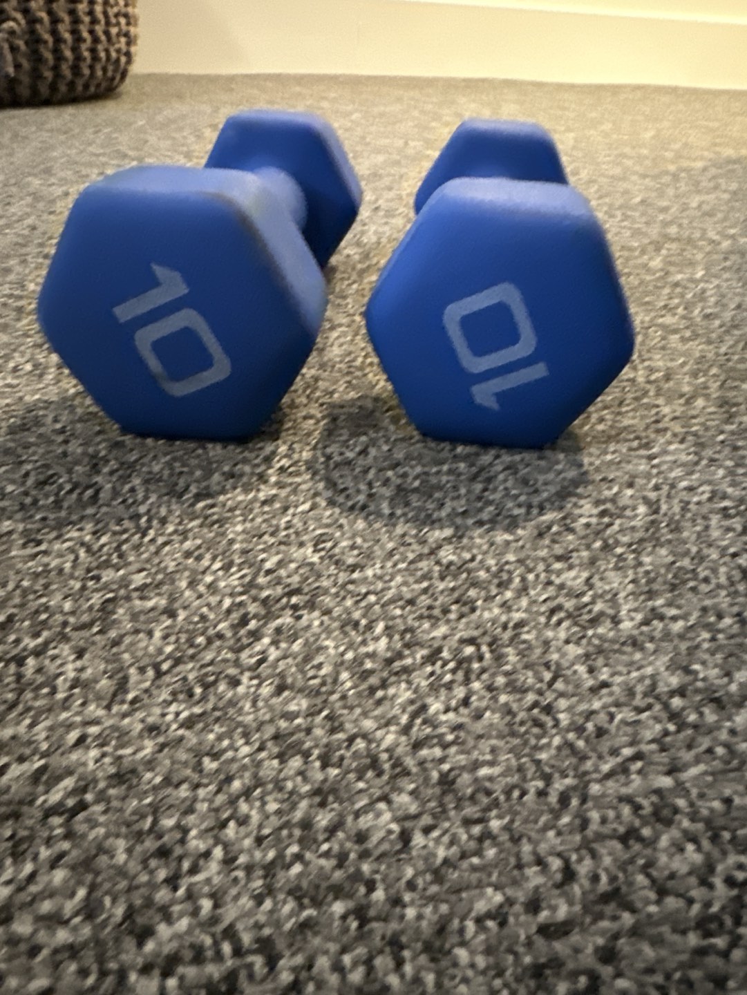 10 pound dumbbells - lightly used