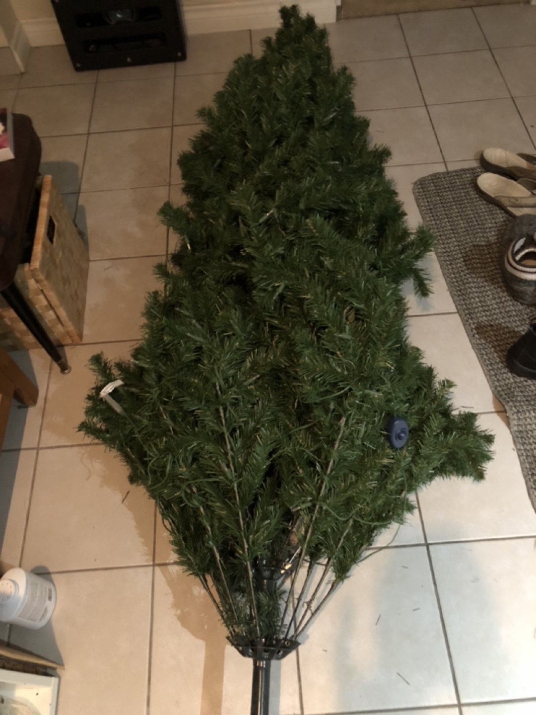 Christmas tree (7’ tall)