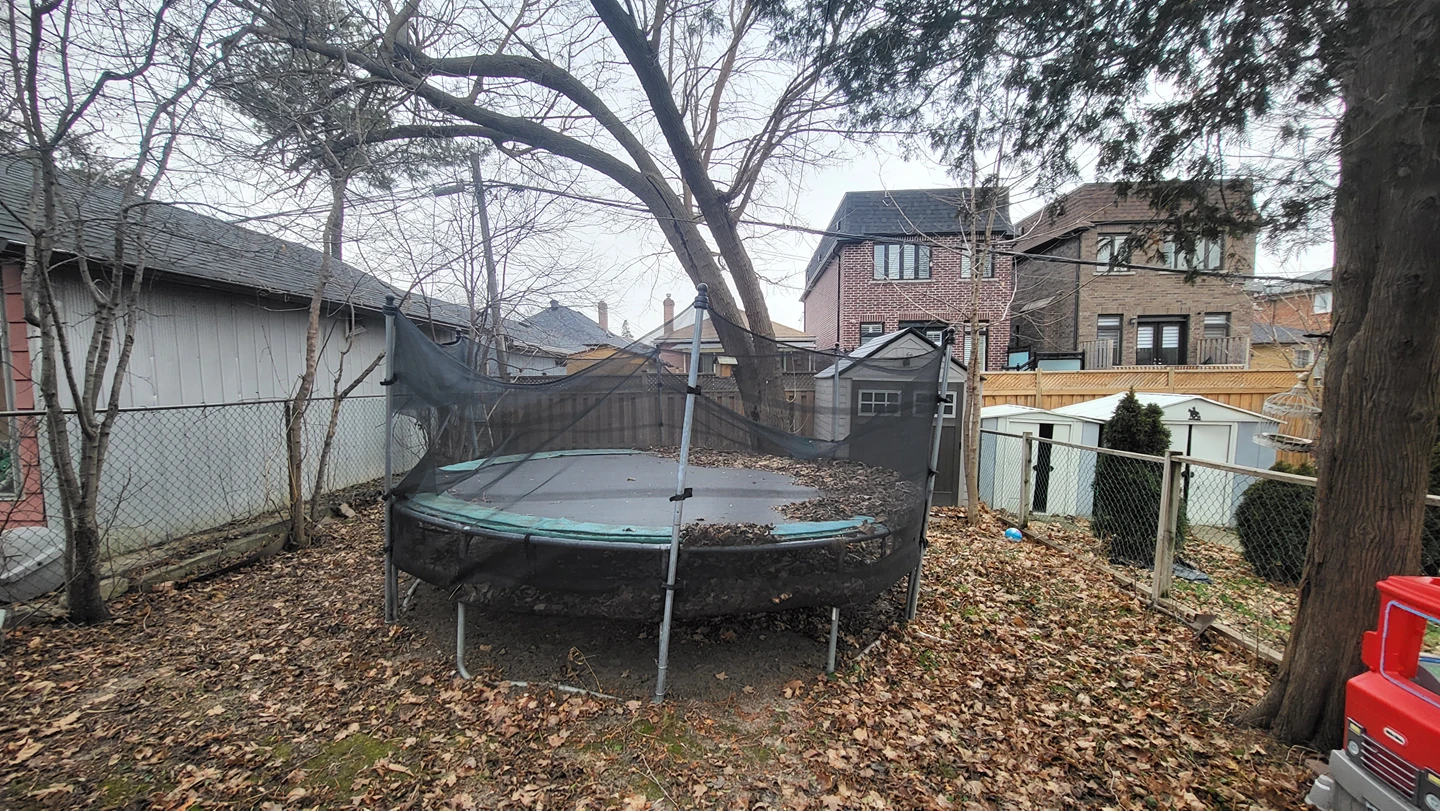 FREE Trampoline