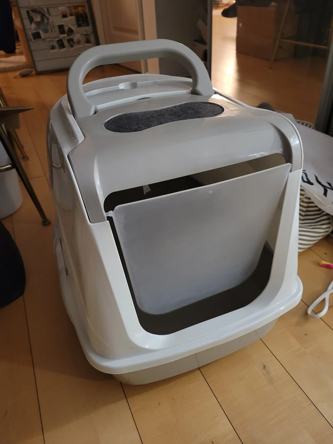 Free Cat Toilet