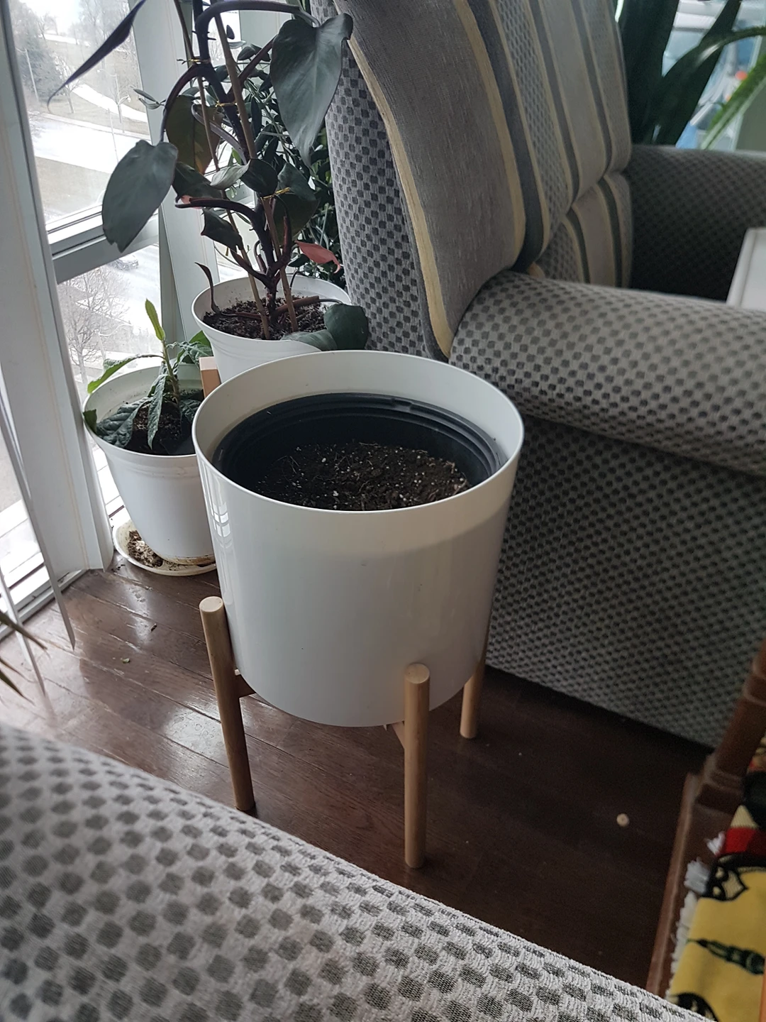 large planter with pot thumbnail