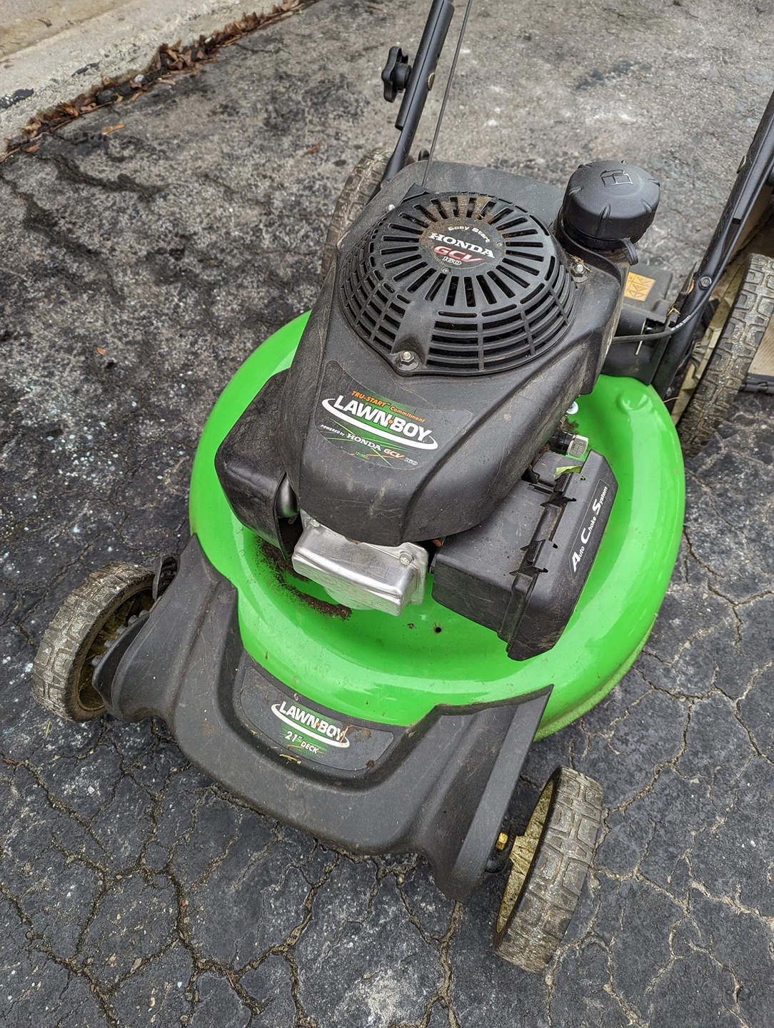 Lawn Boy gas-powered lawn mower with bag thumbnail