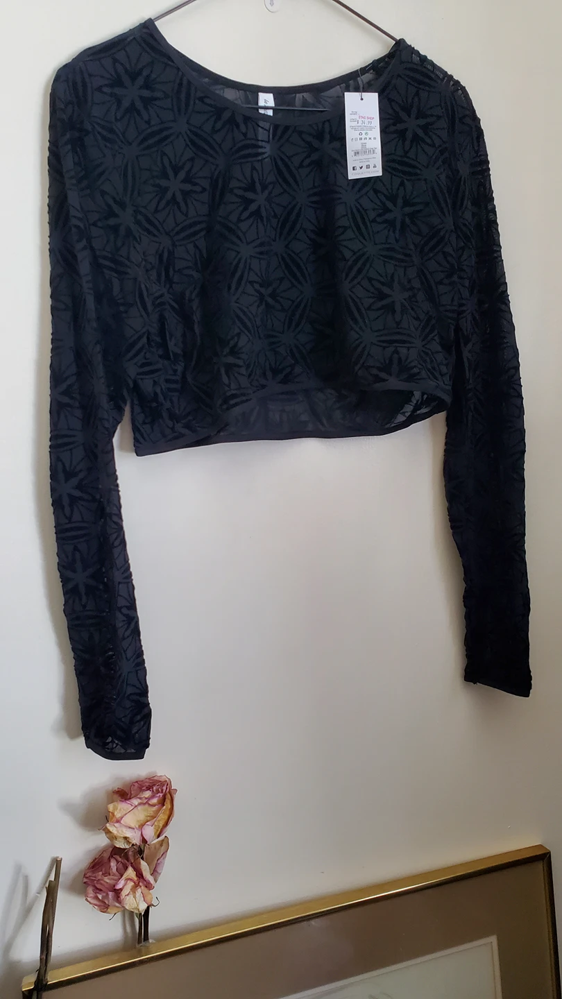 bnwt- 💸StagShop-Geometric Sheer Crop Shirt image indicator(4)