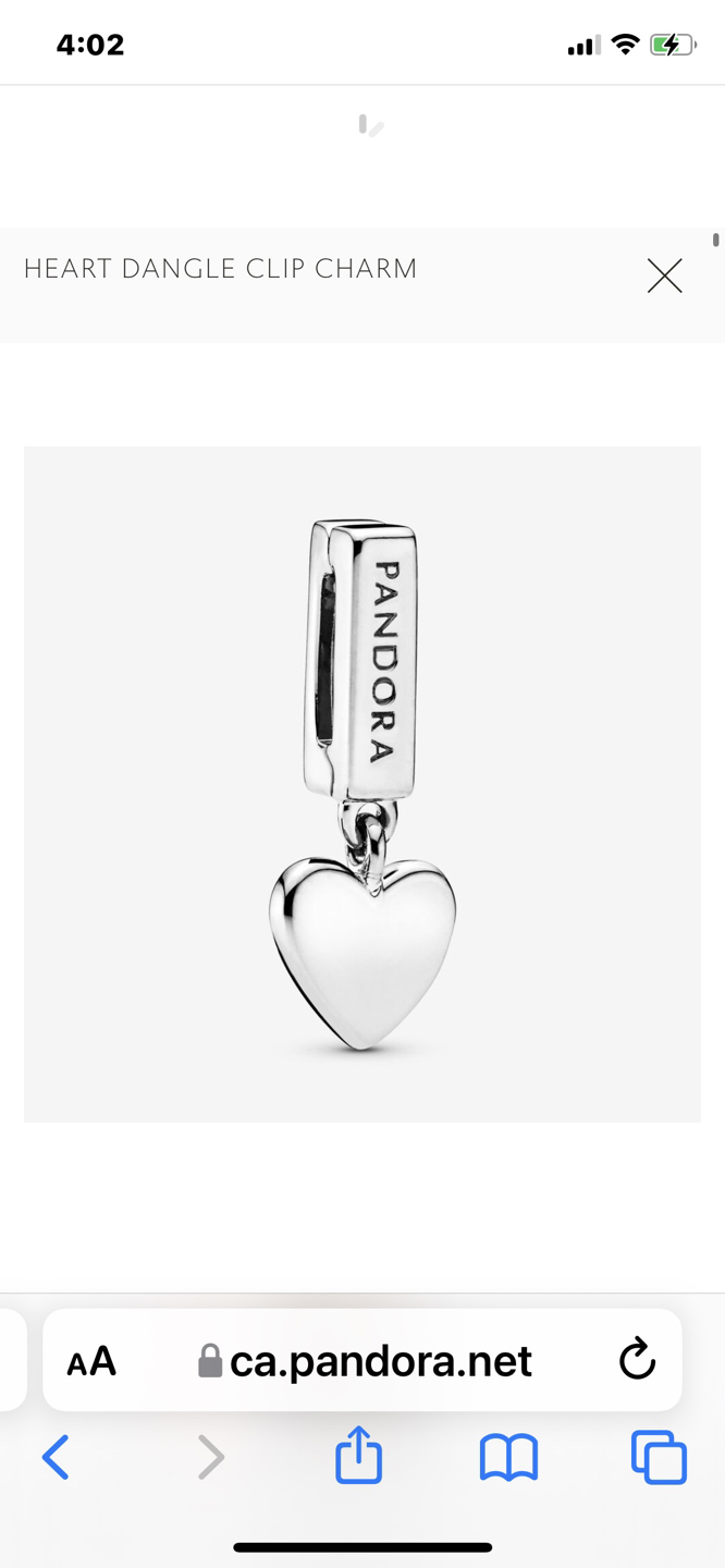 Pandora Bracelet and charm image indicator(3)