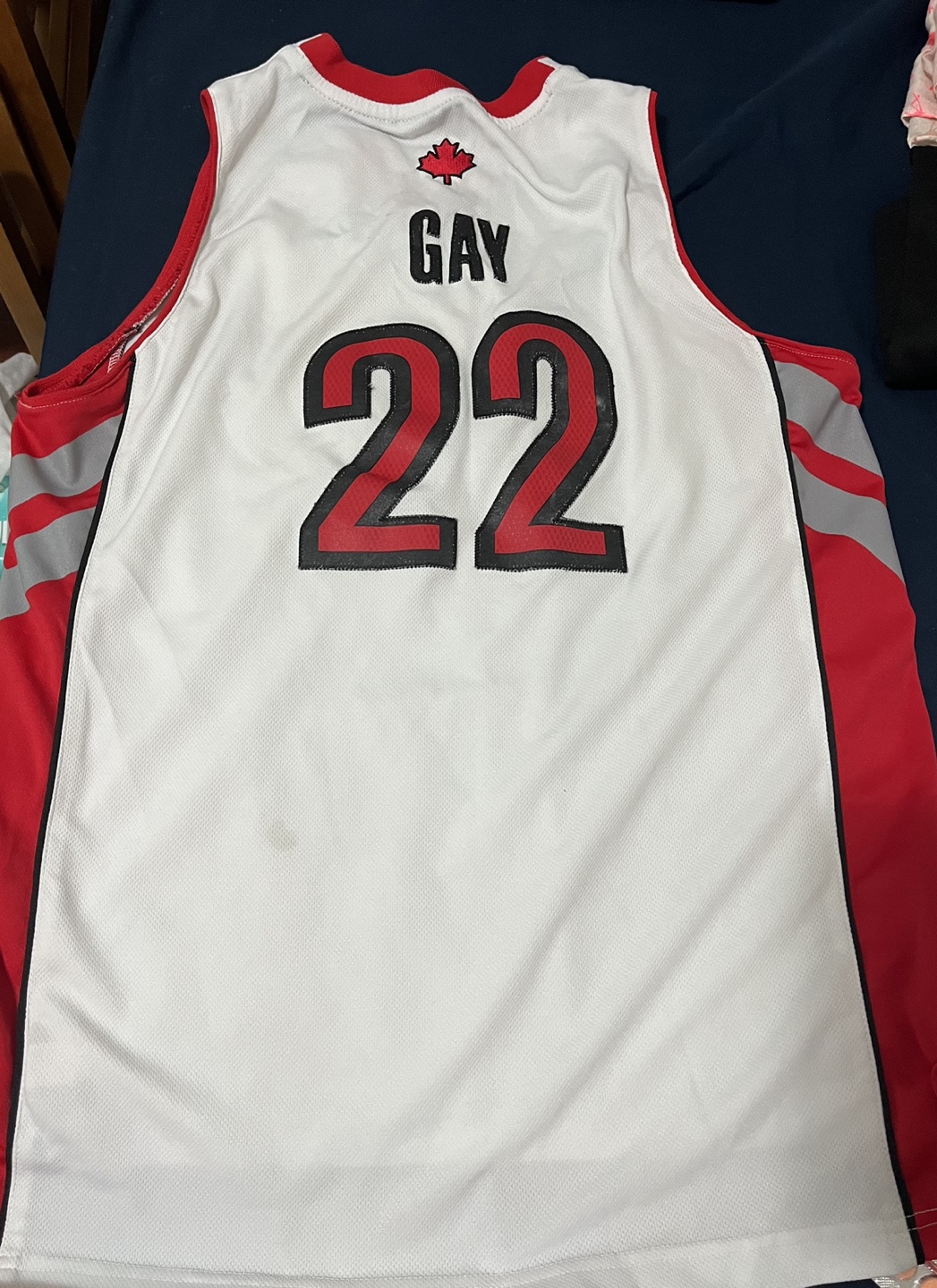 Raptors tshirt image indicator(2)