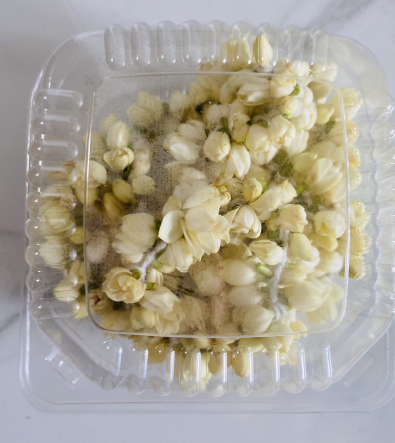 Jasmine box $20 only preorders thumbnail