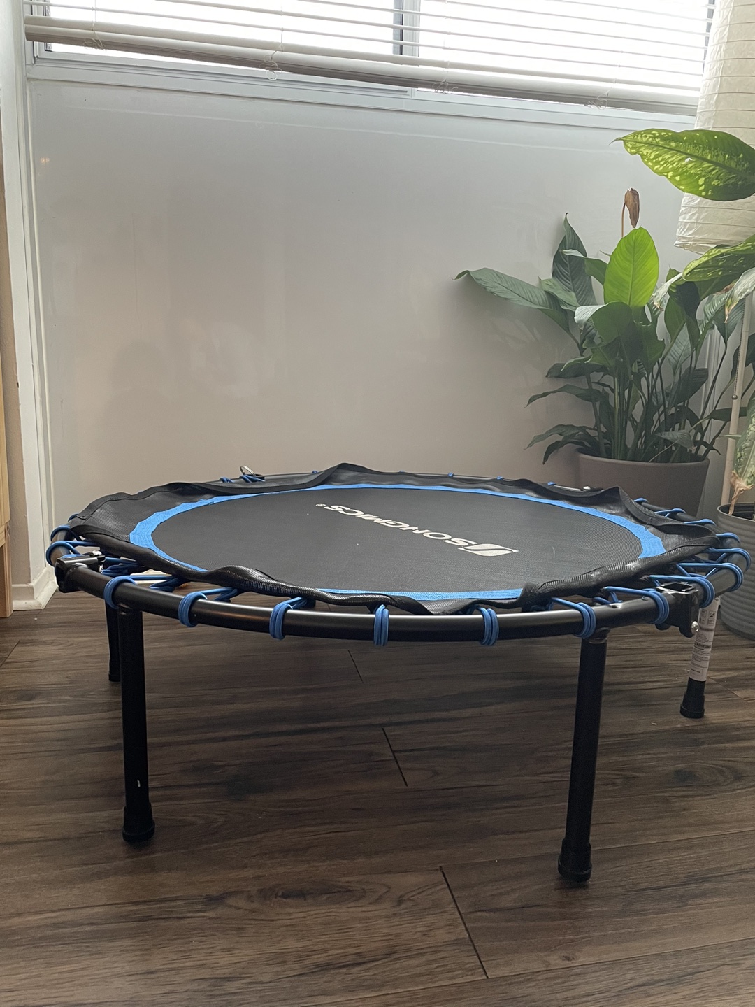 40” trampoline for exercise