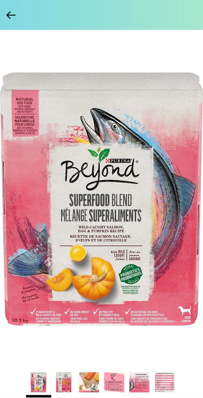 Beyond Superfood Natural Dry Dog Food, Salmon, Egg, Pumpkin