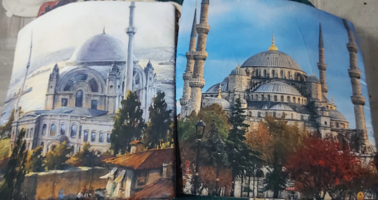 Turkish Sultan Ahmet Cushions