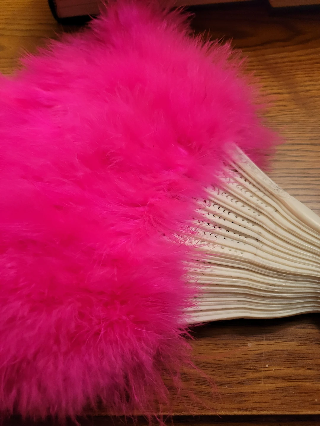 beautiful feather fan 🏀