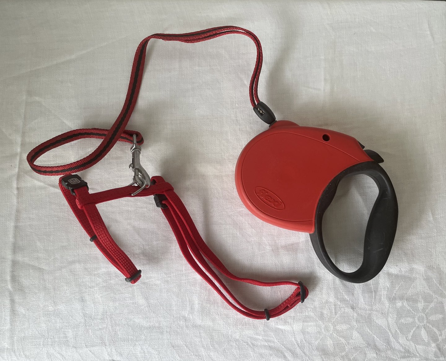 Retractable Cat Leash thumbnail