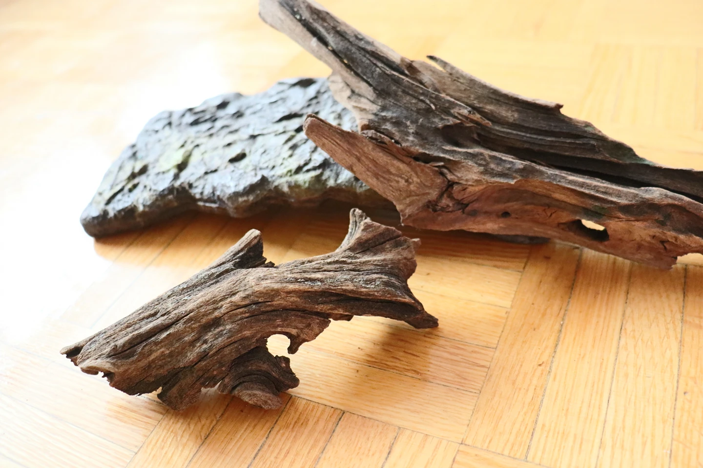 Drift wood with floating turtle platform