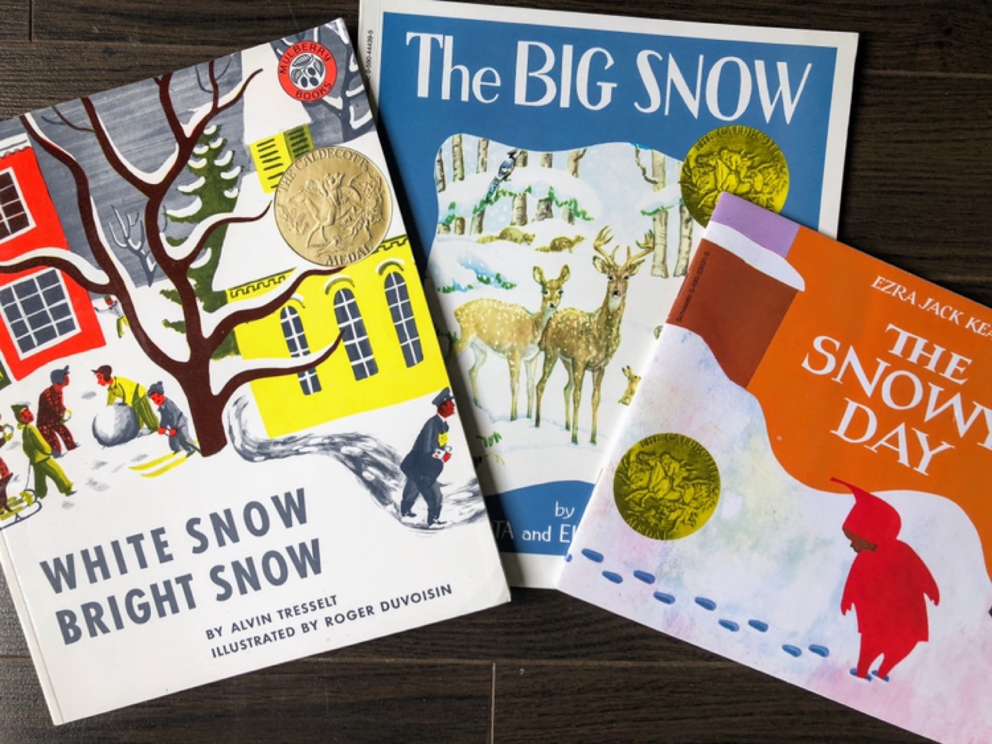 Award-winning Book Bundle - Winter Collection - photo 4