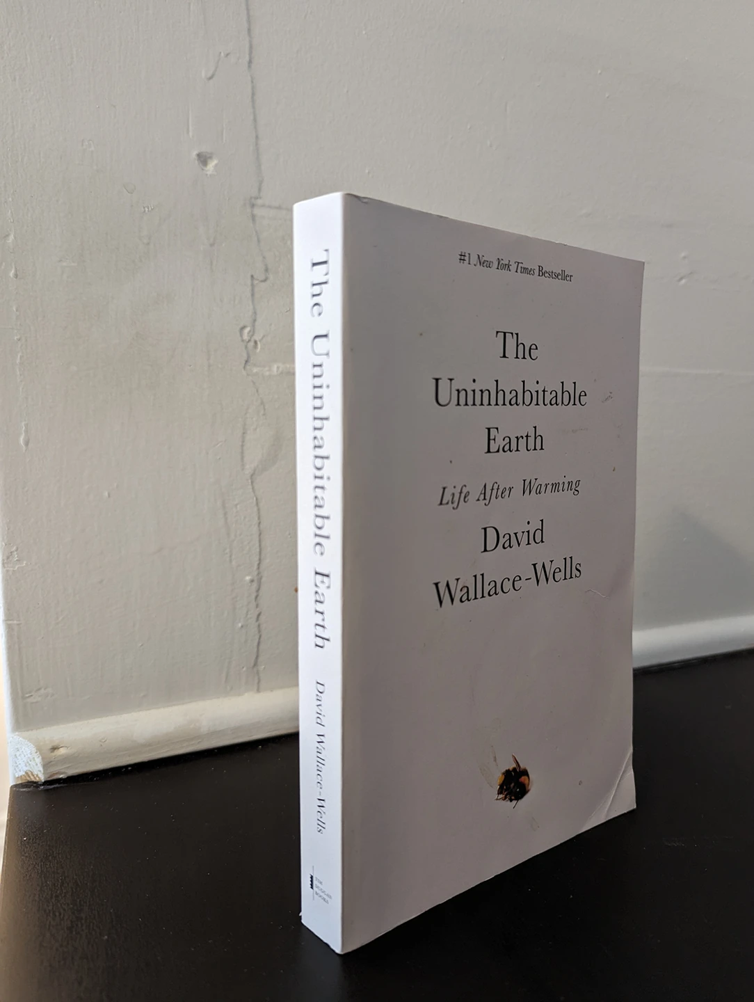 The Uninhabitable Earth by David Wallace thumbnail