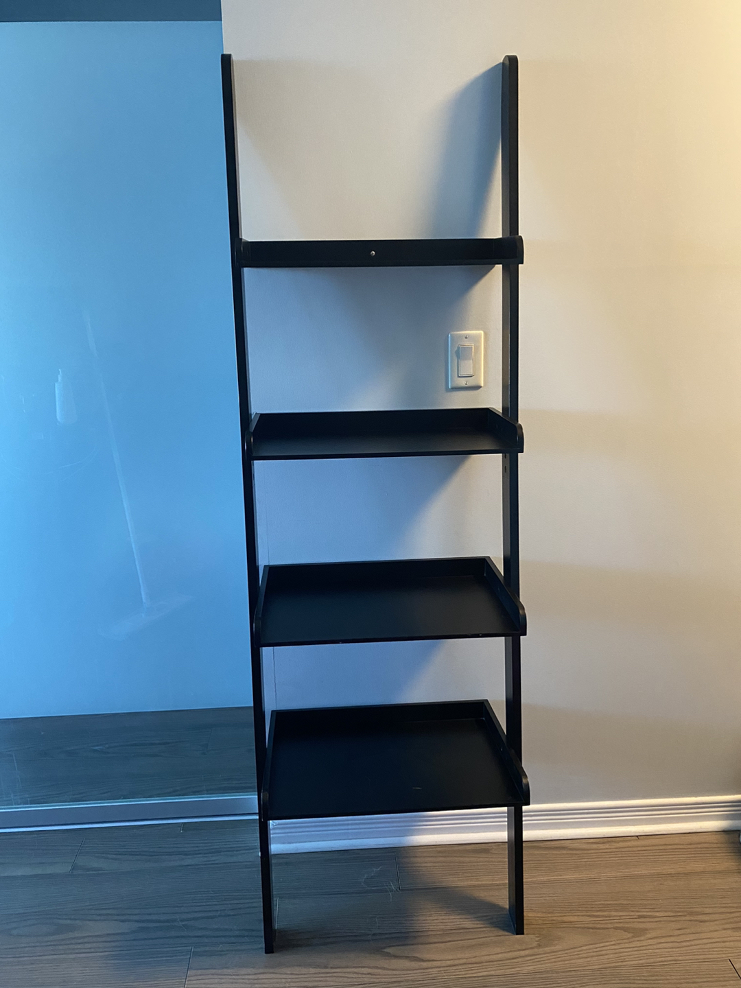 Ladder bookshelf