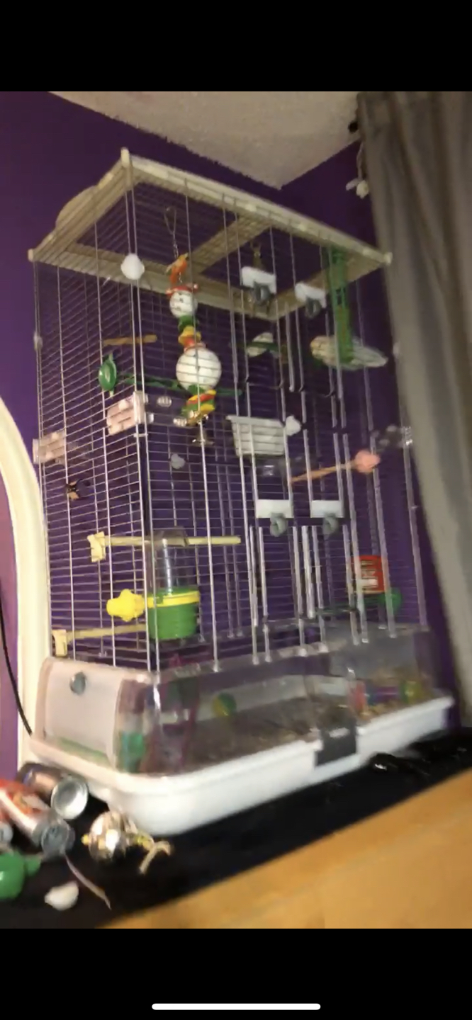 Vision Bird Cage - photo 2