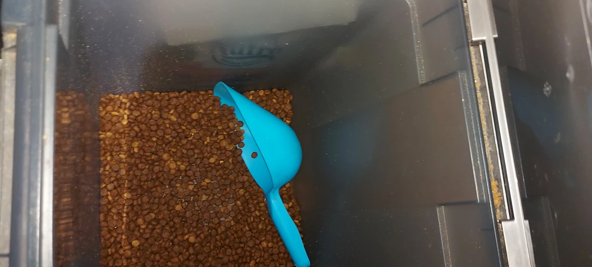 Dog bowls - photo 4