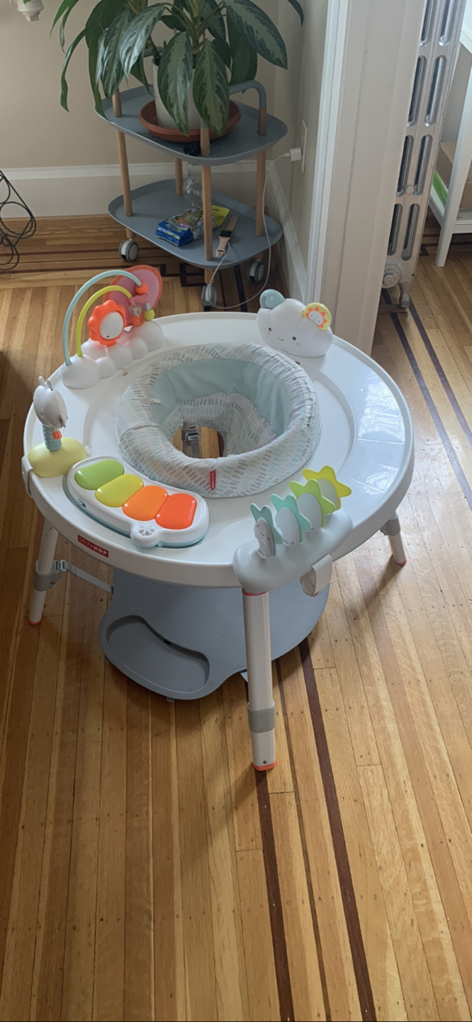 Skip Hop Baby Activity