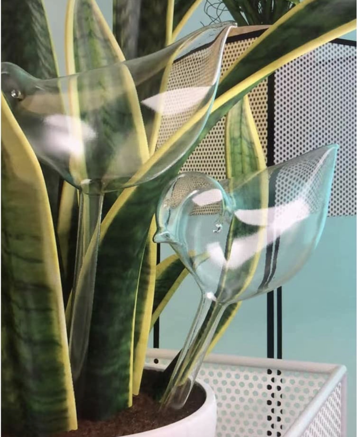 Plant Watering Bird Bulb thumbnail