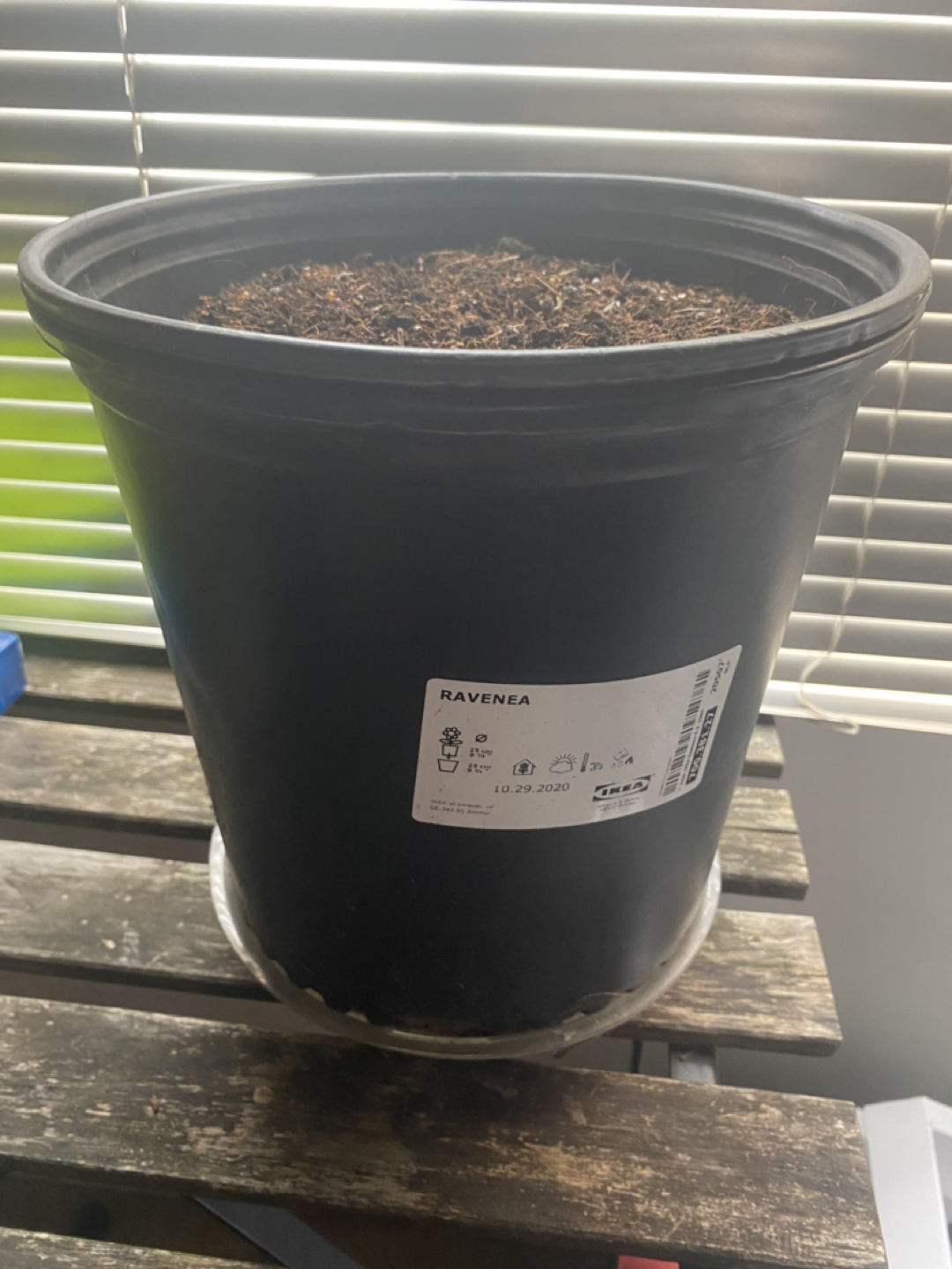 2 IKEA POTS with soil #freecycle