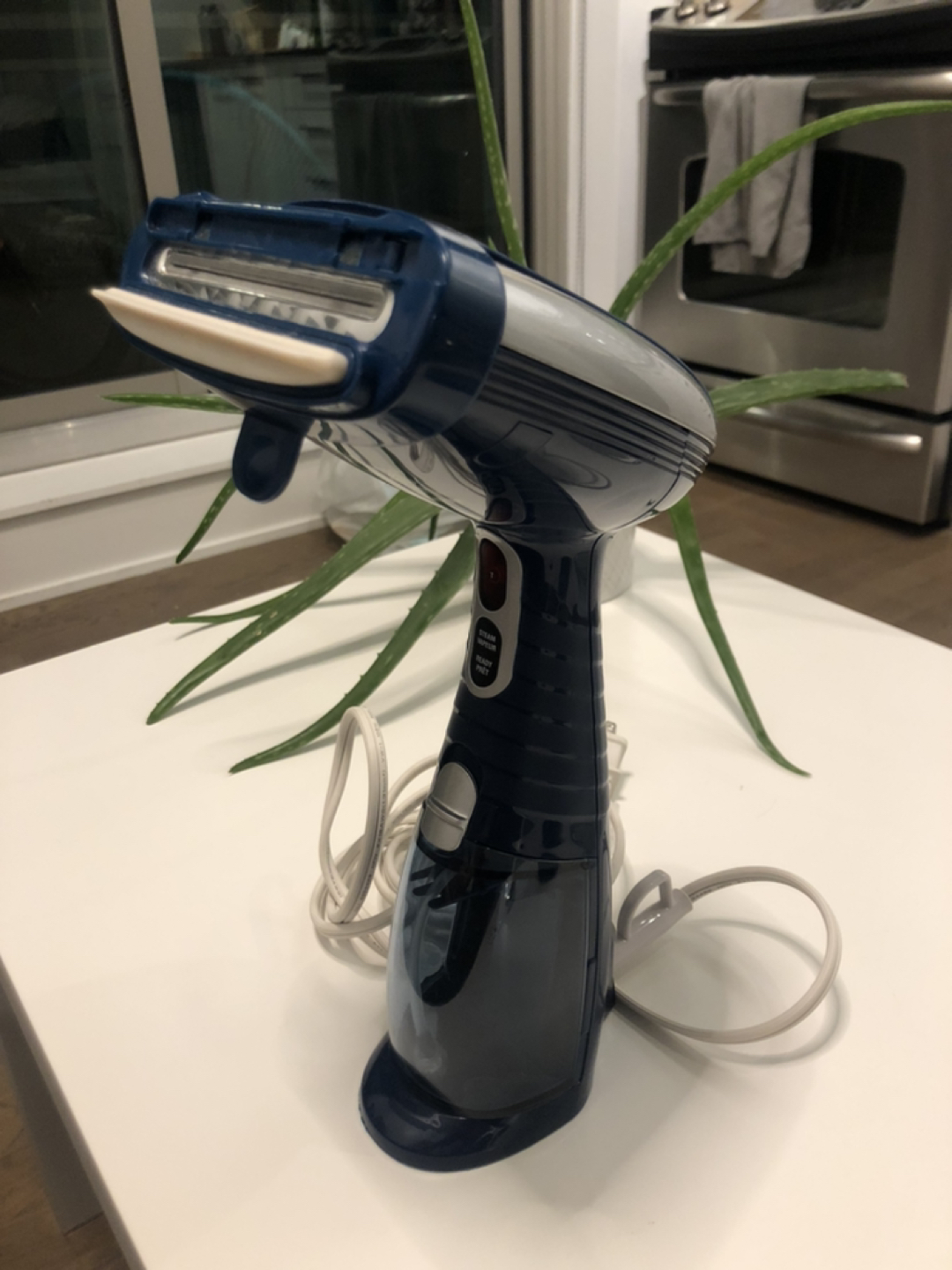 Handheld steamer