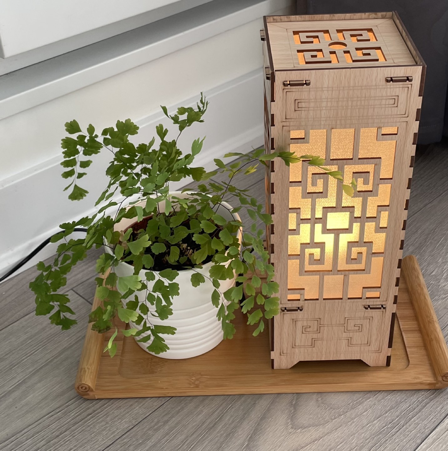 Decorations (maiden hair fern, lamp, wooden tray)