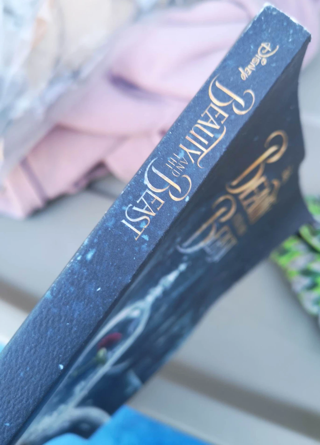 Disney Beauty And The Beast Book thumbnail