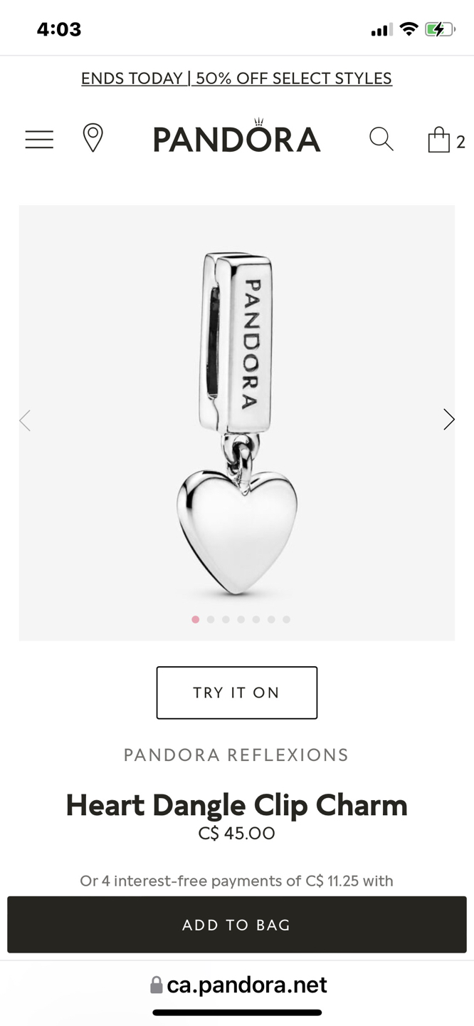 Pandora Bracelet and charm image indicator(2)