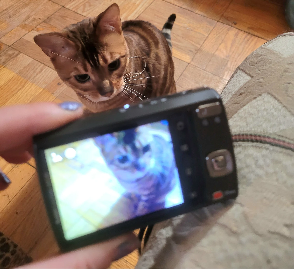 Red Kodak 12mp Easy Share Digital Camera *working* image indicator(2)