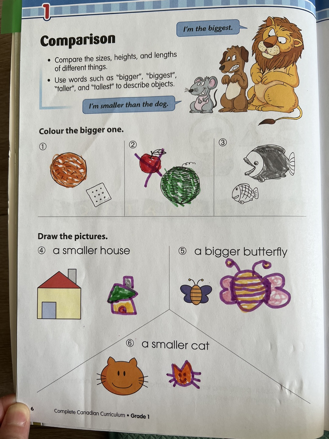Canadian curriculum grade 1 - photo 5