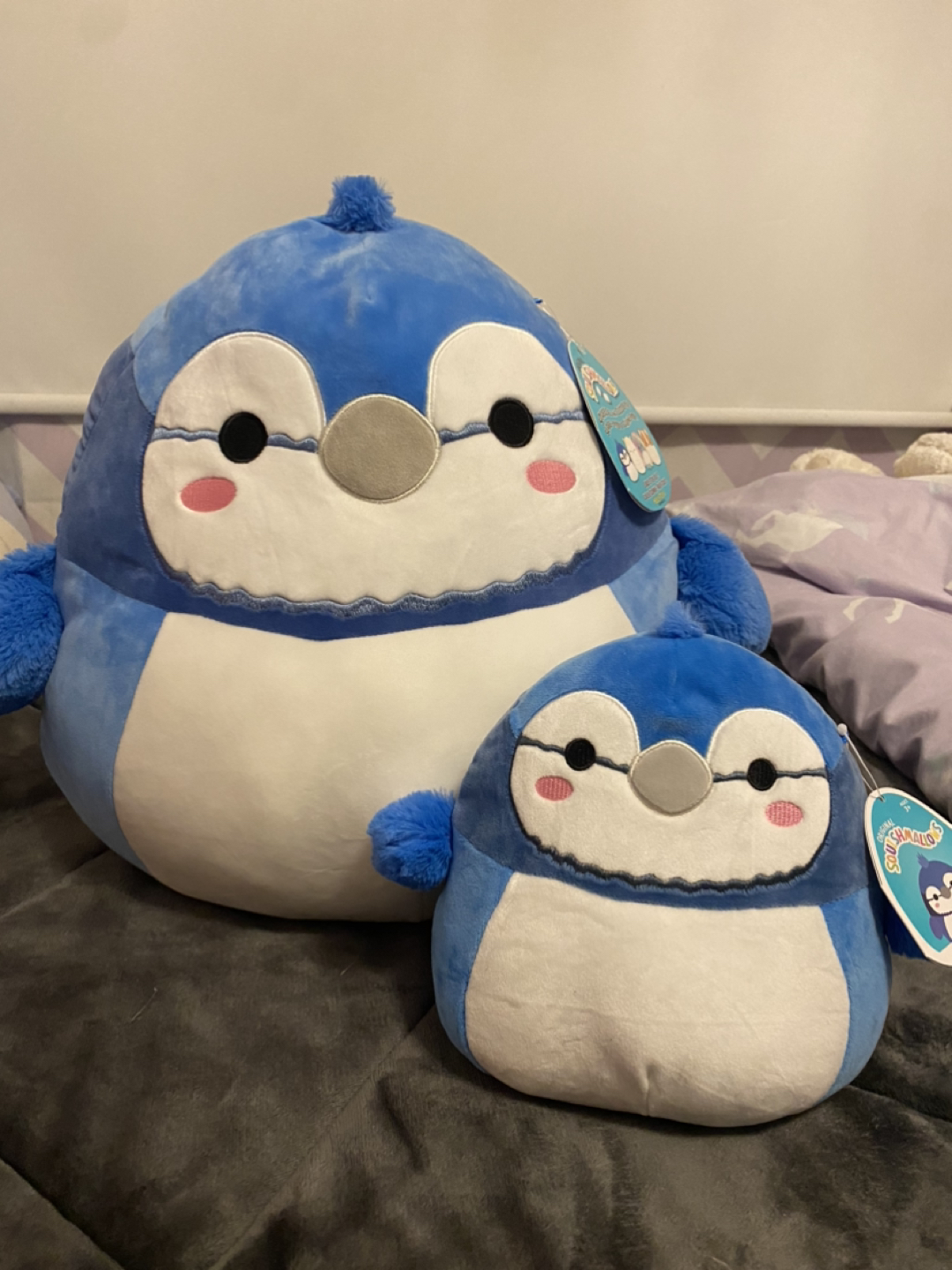 Blue jay squishmallow plush