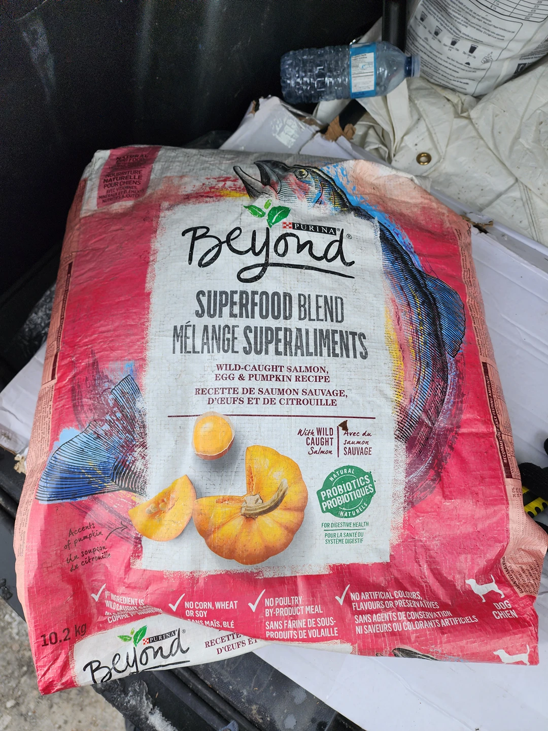 Beyond Superfood Natural Dry Dog Food, Salmon, Egg, Pumpkin - photo 4